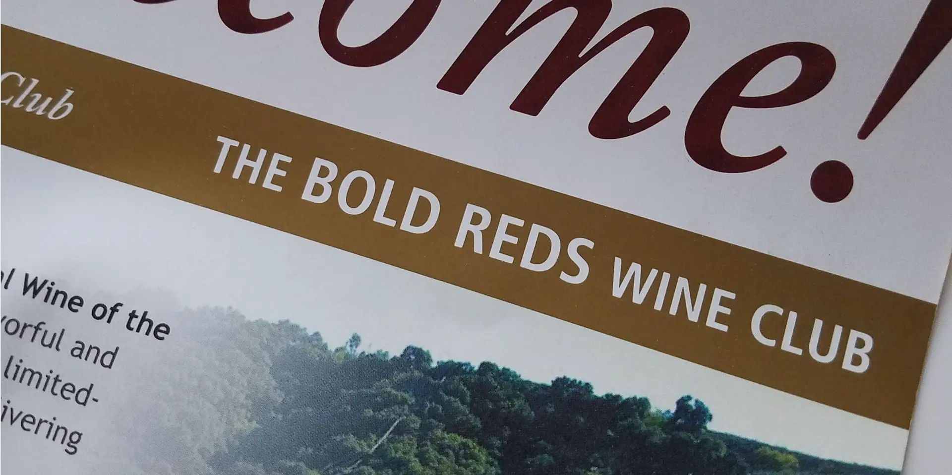 International Wine of the Month Club – Bold Reds Wine Club Review